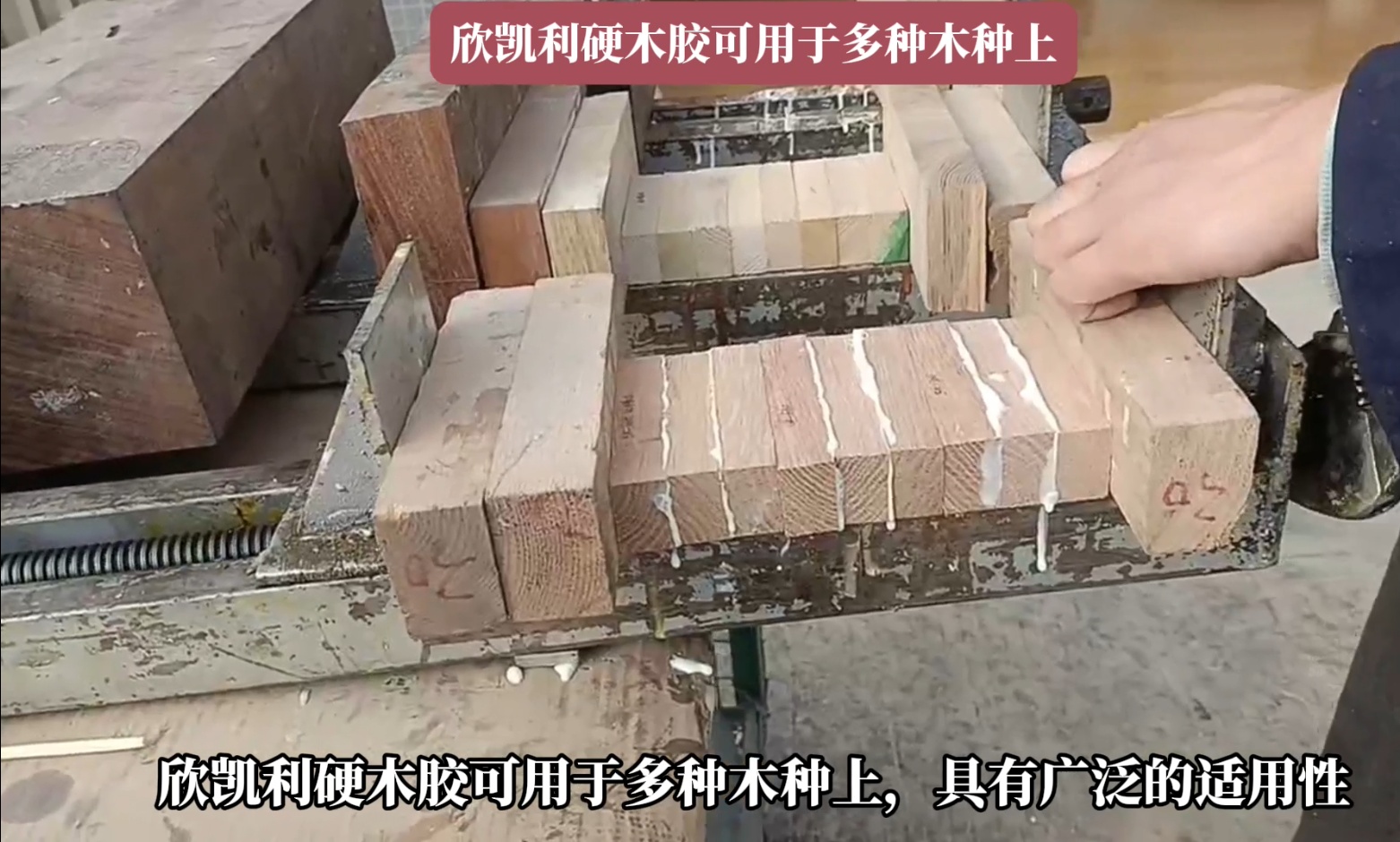 欣凱利硬木膠能夠深入木材裂縫和孔洞，形成牢固的粘接層